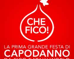 Capodanno 2020 di FICO